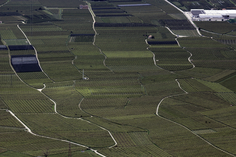 2017-09-01_132301 trentino-suedtirol-2017.jpg - Blick vom Monte Mezzocorona in das Etschtal